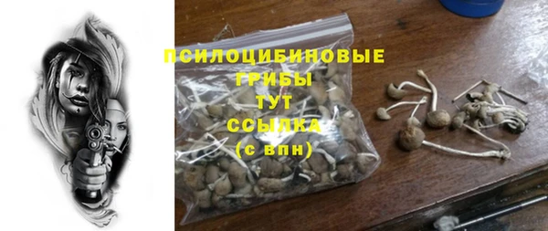 эйфоретик Абаза