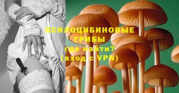 эйфоретик Абаза