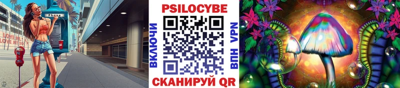 где найти   Монино  Галлюциногенные грибы Psilocybine cubensis 